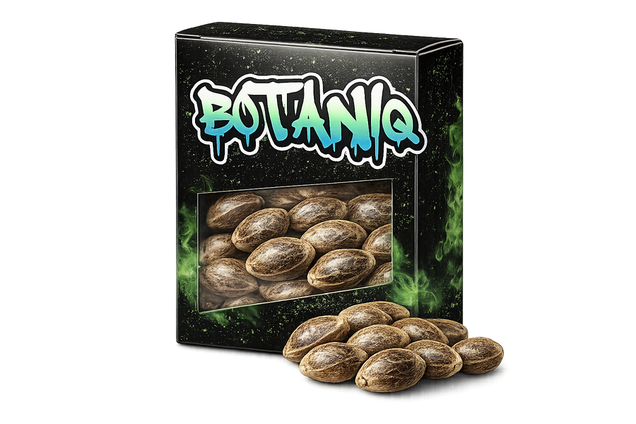 Seeds - Afghan Skunk Yearly