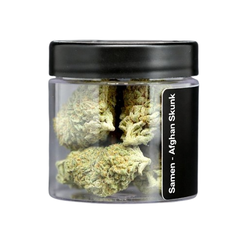 Samen - Afghan Skunk