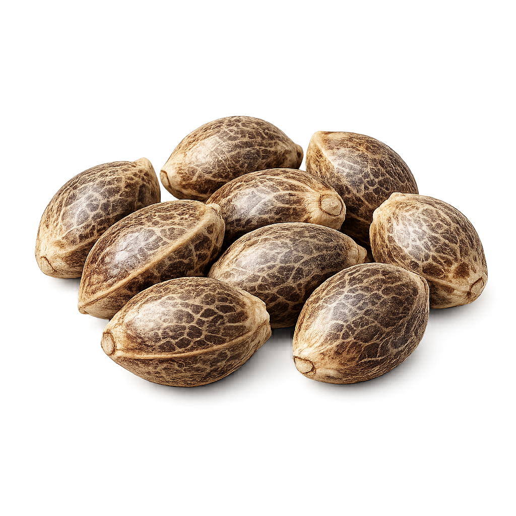 Samen - Frosty Gelato (5)