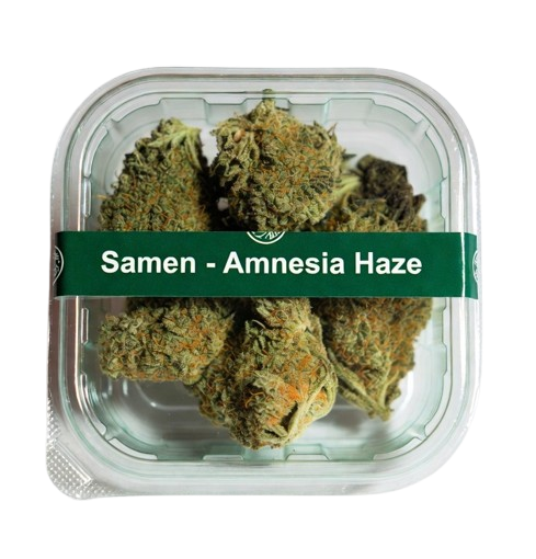 Samen - Ammesia Haze